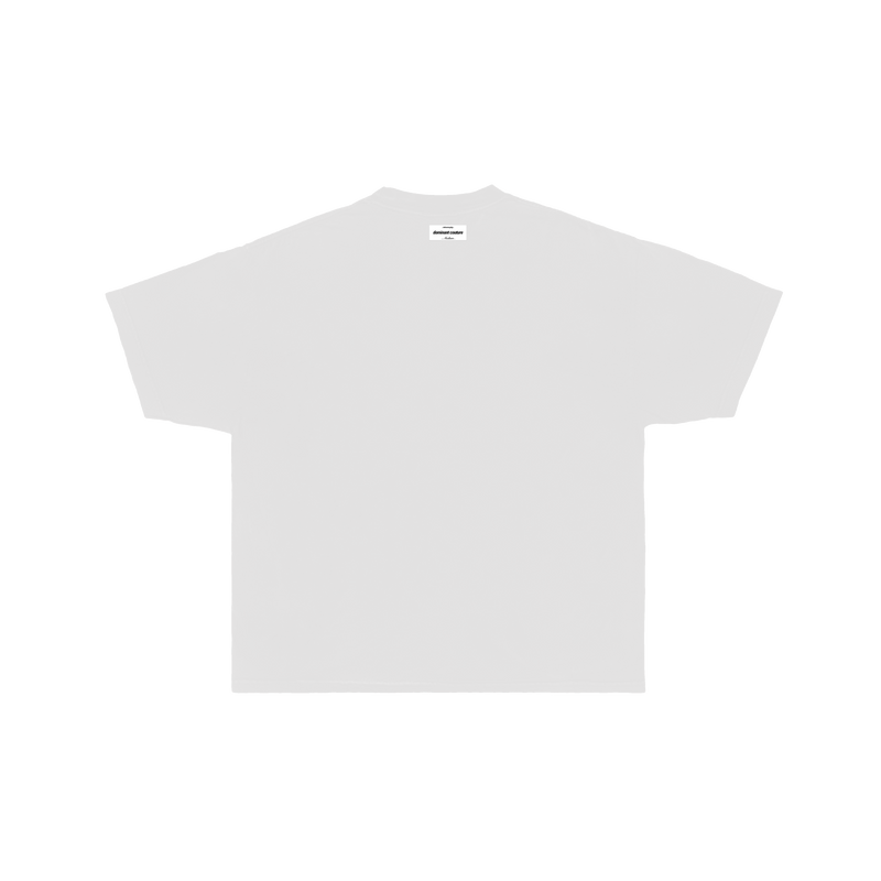 ល្ខោនស្បែកតូច back